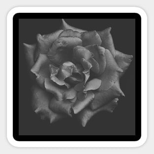 Black and White flower Sticker